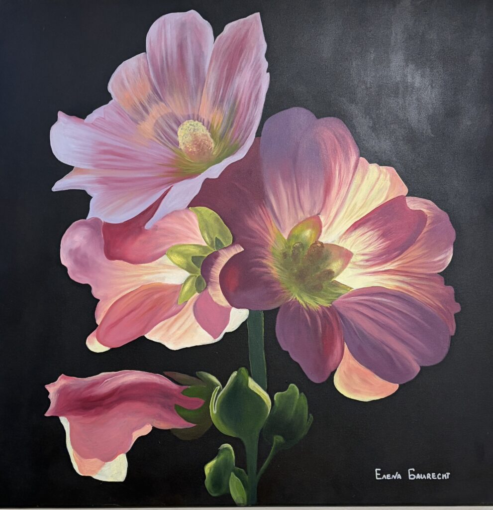 Stillleben „Malve“ von Elena Baurecht mit großen rosa und violetten Blüten vor schwarzem Hintergrund.